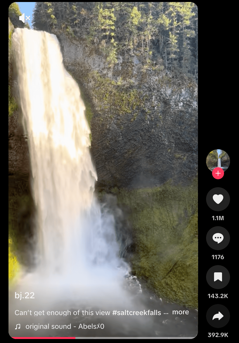 Copia el Enlace de TikTok